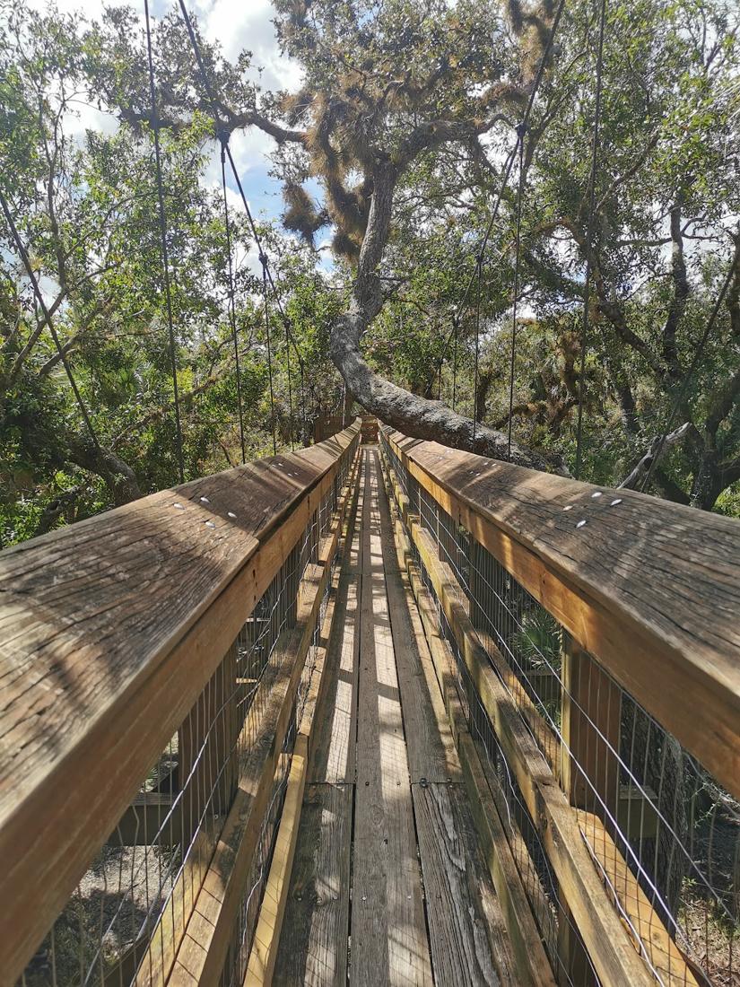 Der Baumwipfelpfad im Myakka River State Park